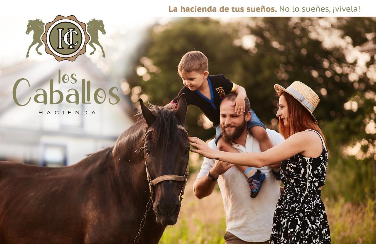 Hacienda Caballos Villa Cartaya